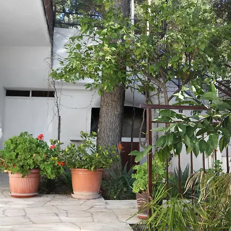 6023c Apartment